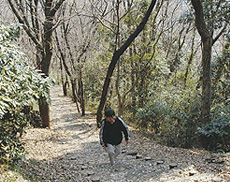 高松山コース