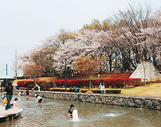 ぼうさいの丘公園