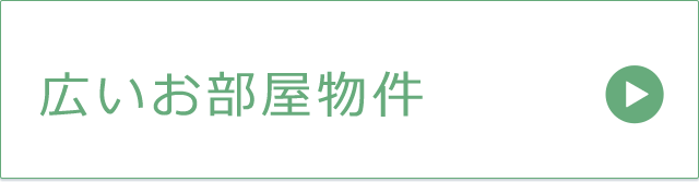 広いお部屋物件